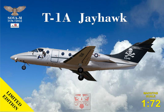 T-1A "Jayhawk" jet trainer (USAF)