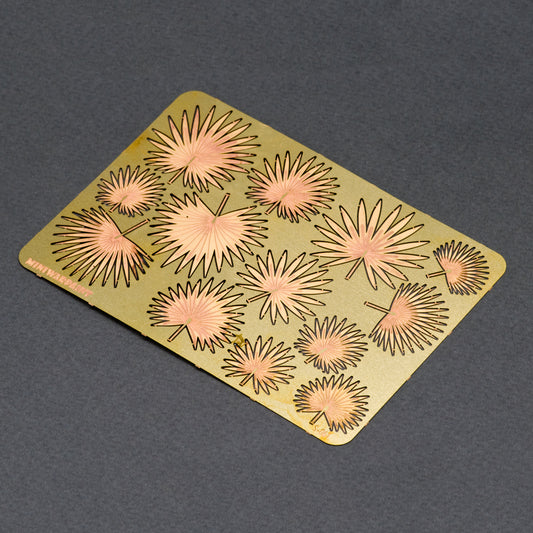 FAN PALM LEAVES, SIZE S