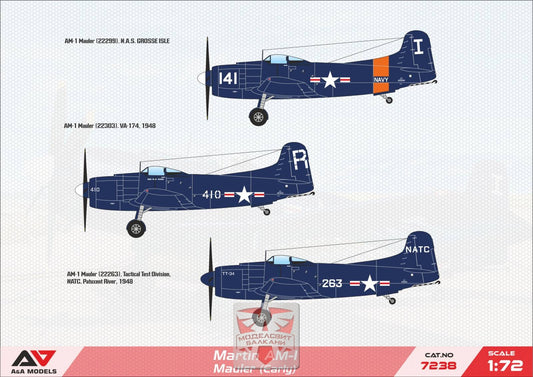 AM-1 "Mauler" attack aircraft (Early version)