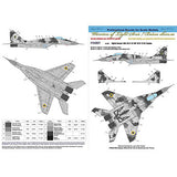 Decals Ukrainian Digital Falcons: MiG-29 (9-13)
