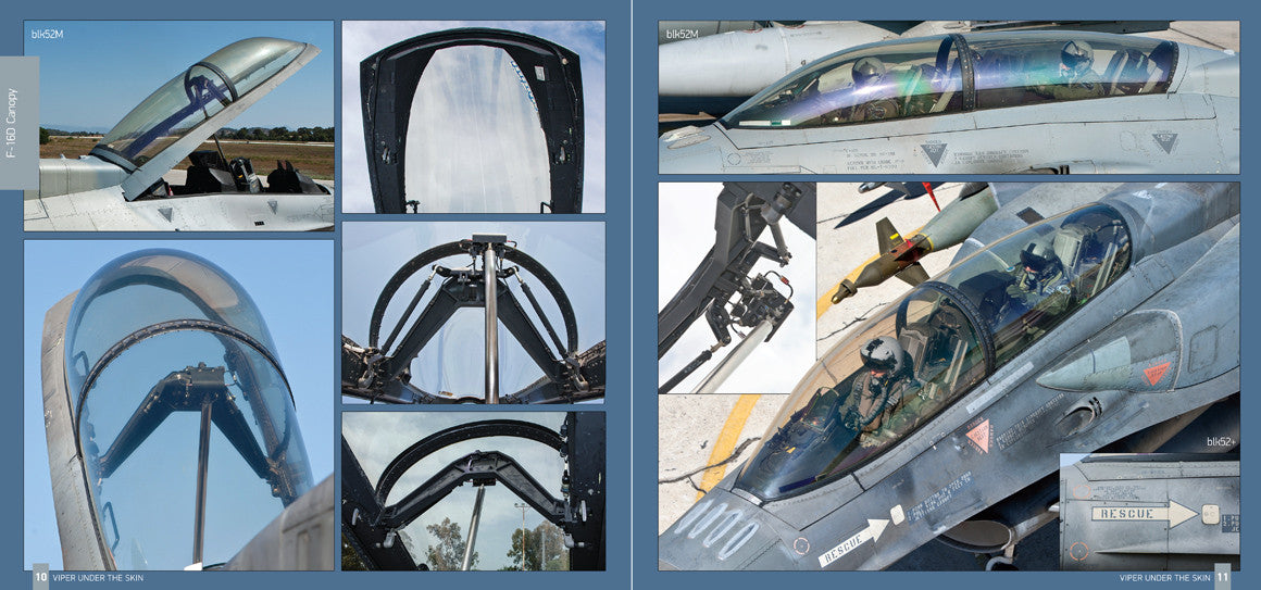 F-16 Fighting Falcon - Viper Under The Skin