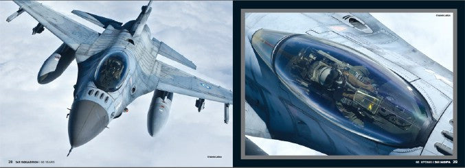 341 Squadron - 60 Years