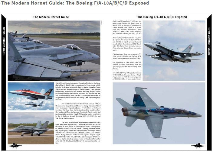 The Modern Hornet Guide: F/A-18A/B/C/D Exposed