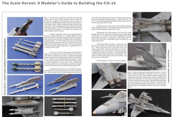 The Scale Hornet: A Modeler's Guide to Building the F/A-18