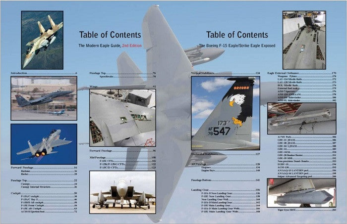 The Modern Eagle Guide, 2nd Edition