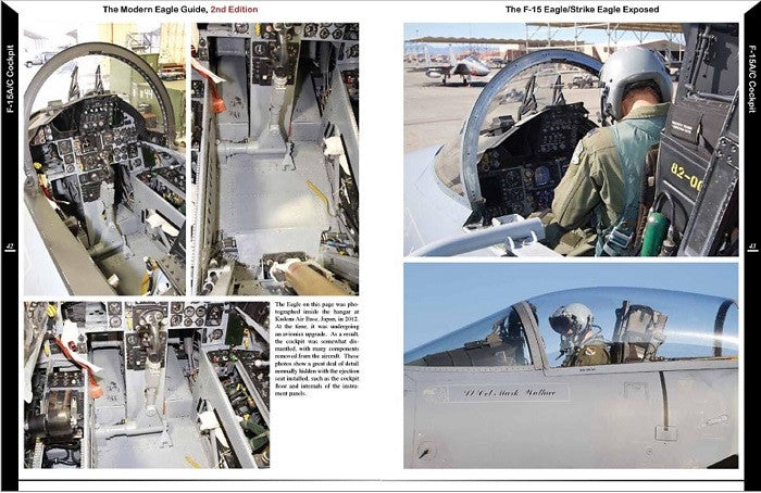 The Modern Eagle Guide, 2nd Edition