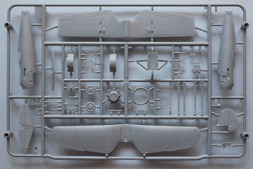 PZL P.11c Expert Set